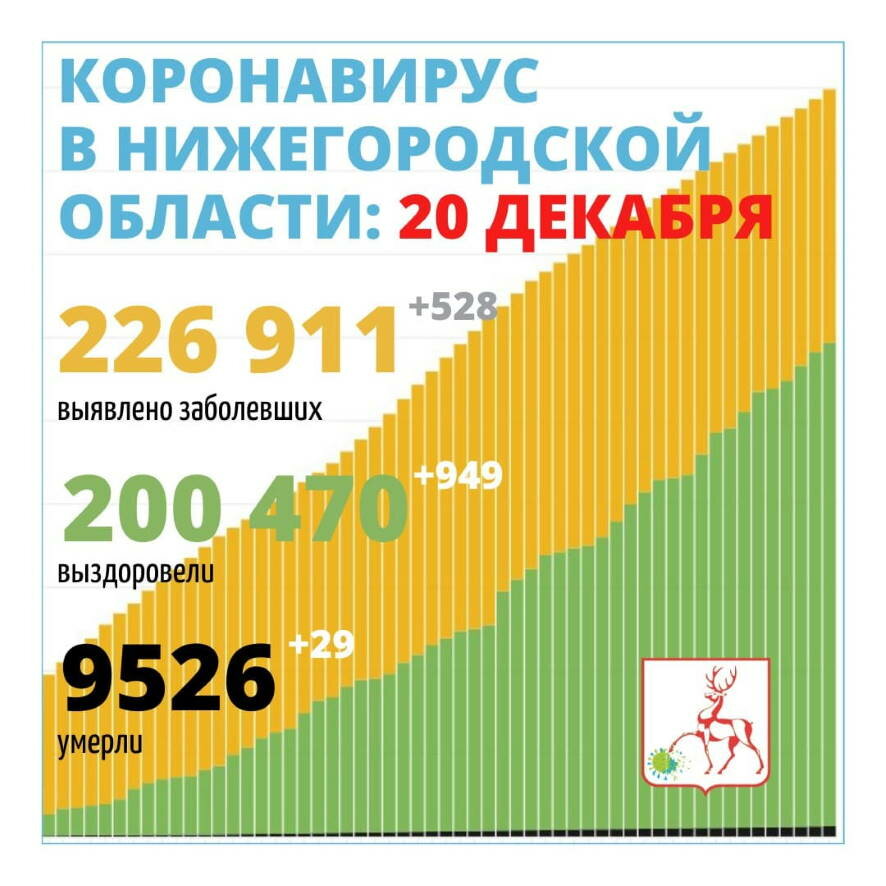 На 20 декабря в Нижегородской области выявлено 528 новых случаев заражения коронавирусной инфекцией