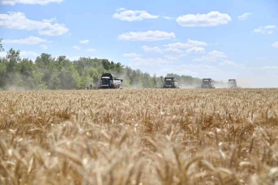 Государство может закупить до 3 млн тонн зерна в госфонд уже в этом году