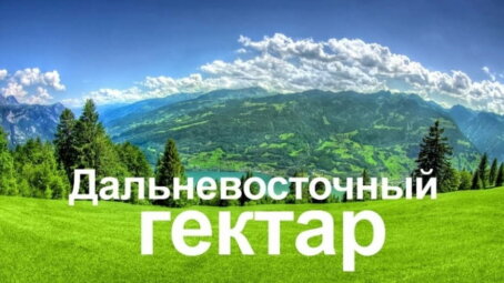 Почти 500 обладателей «дальневосточного гектара» оформили свои участки в собственность в Хабаровском крае