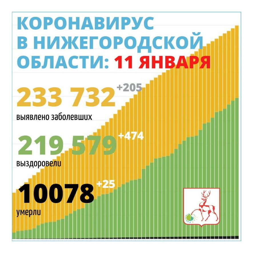 В Нижегородской области на 11 января выявлено 205 новых случаев заражения коронавирусом