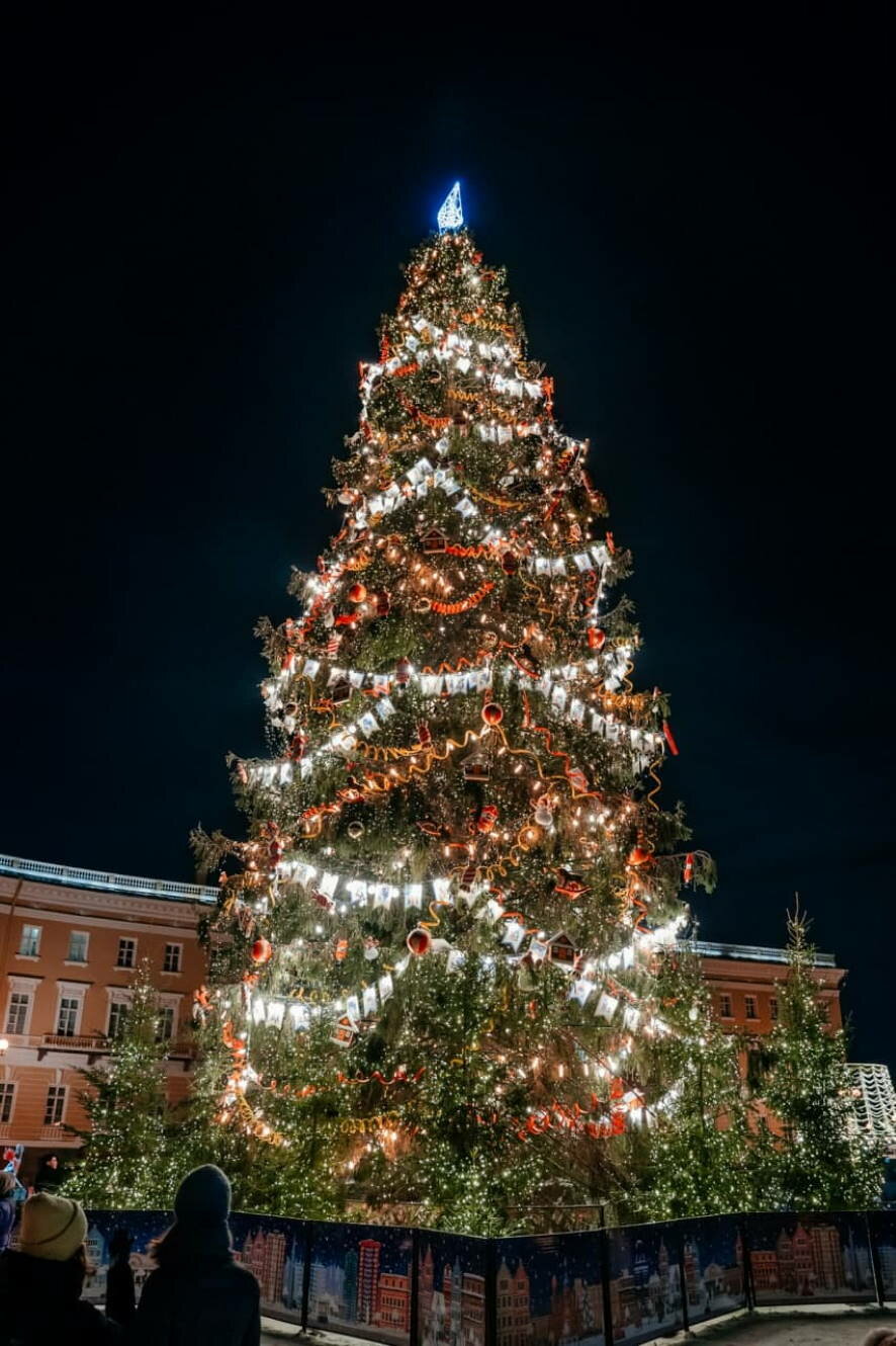 Новогодняя ель на Дворцовой площади Петербурга останется до конца января