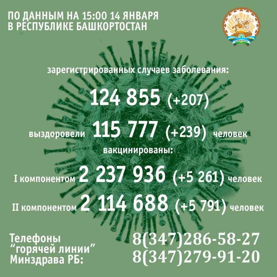 207 случаев заражения коронавирусом выявлено в Башкортостане за минувшие сутки