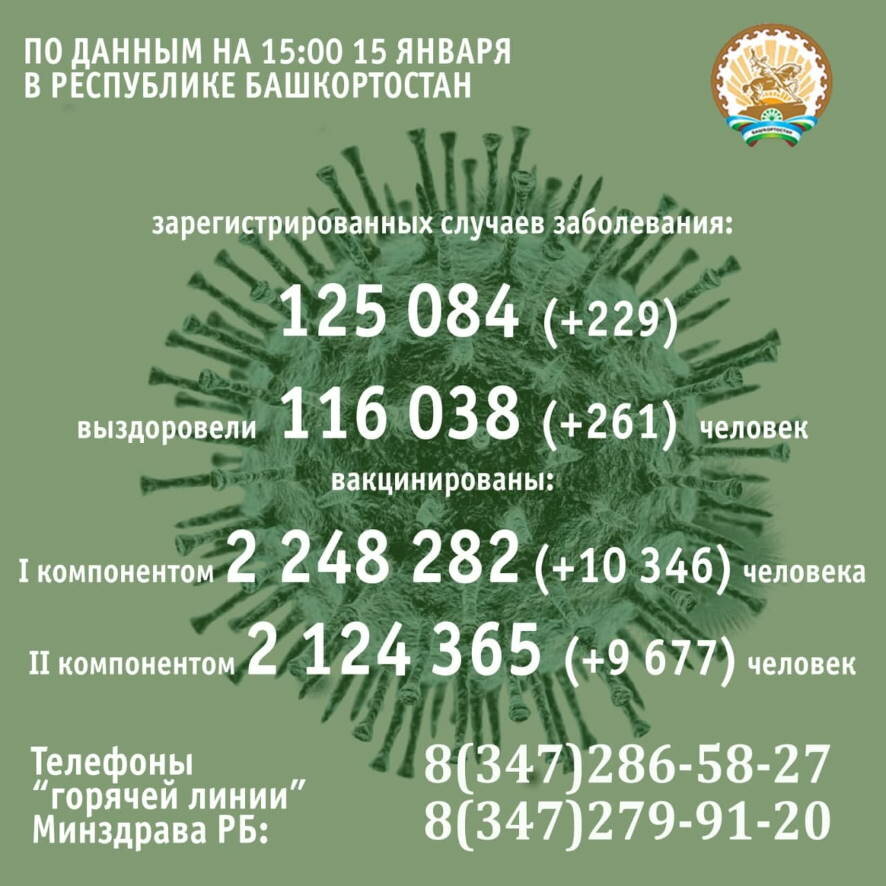 За минувшие сутки COVID-19 подтвердили у 229 жителей Башкортостана