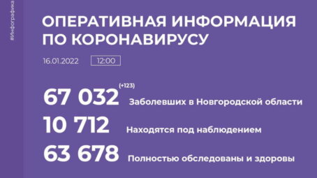 В Новгородской области за сутки ковид выявлен у 123 человек