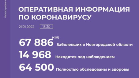 Информация о распространении коронавируса в Новгородской области на 21 января