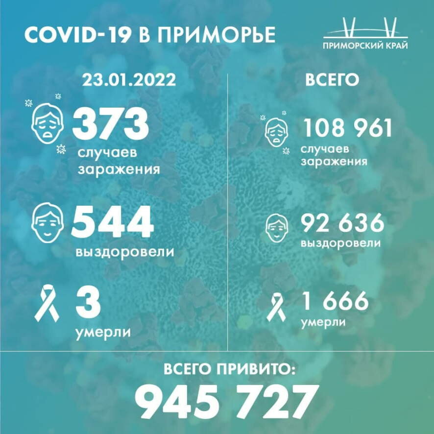Оперативная информация по COVID-19 в Приморском крае на 23 января