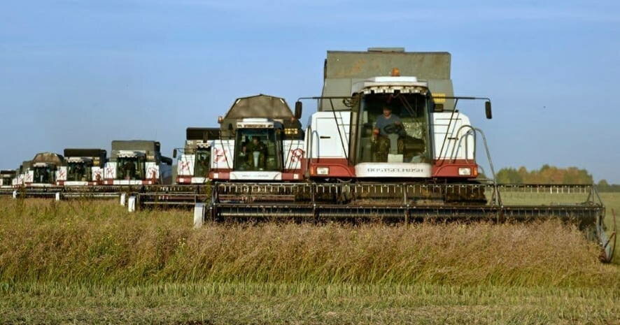 Правительство выделит более 153 млрд рублей на поддержку сельского хозяйства