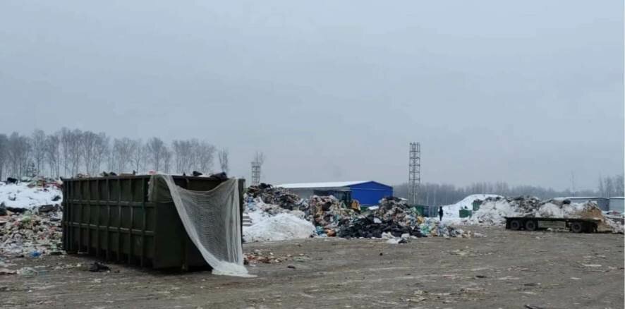 Страх перед «мусорной мафией» не дает надзорным органам разобраться с нелегальной свалкой в Мурино