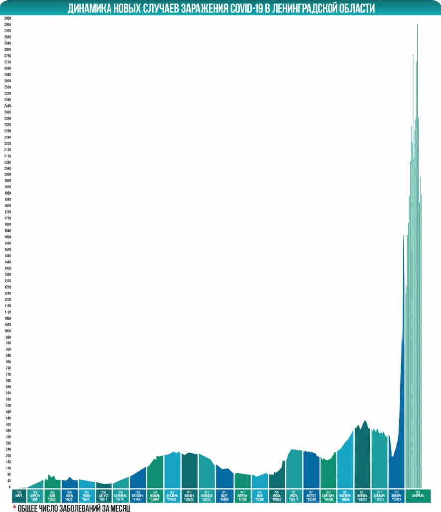 Коронавирус в Ленобласти на 19 февраля: количество случаев по населенным  пунктам