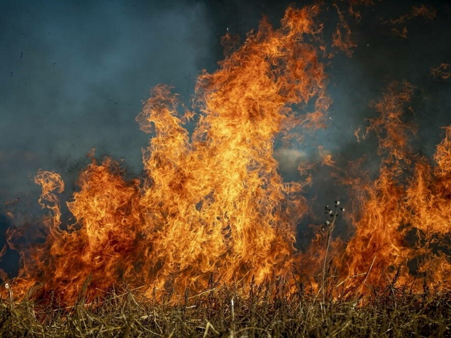 Более 200 человек сражаются с огнём в Оренбургской области