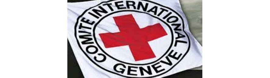На базе Красного Креста в Мариуполе обнаружены медкарты детей с указанием здоровых органов