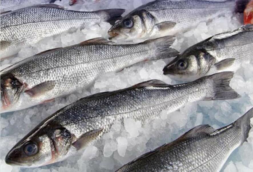 Рыбные ряды: оптовые цены на основные виды рыбной продукции продолжают снижаться