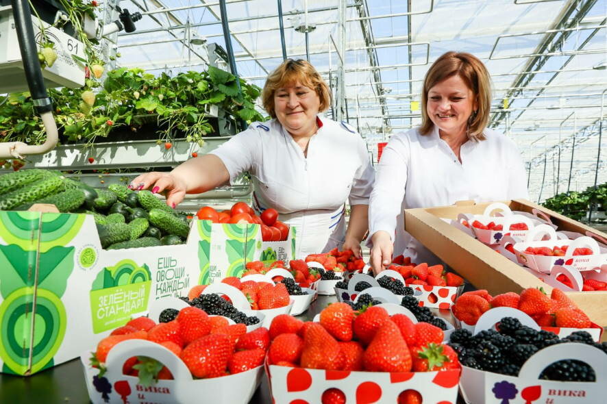 Андрей Воробьев — о импортозамещении в сельском хозяйстве