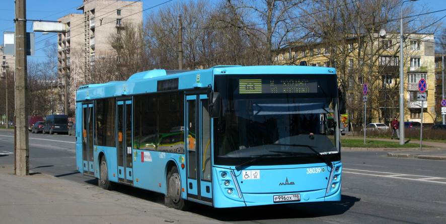 Проезд В Питере Цена 2025