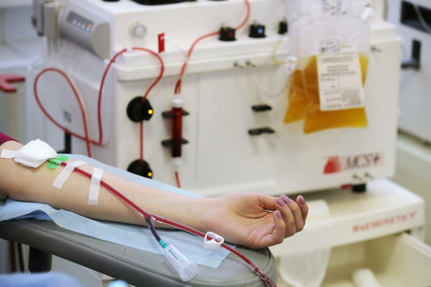 Вероника Скворцова: Более 24 тыс. человек из 86 регионов сдали кровь для пострадавших в результате теракта