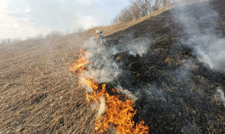 Специалисты ликвидировали 19 лесных пожаров за сутки в Свердловской области