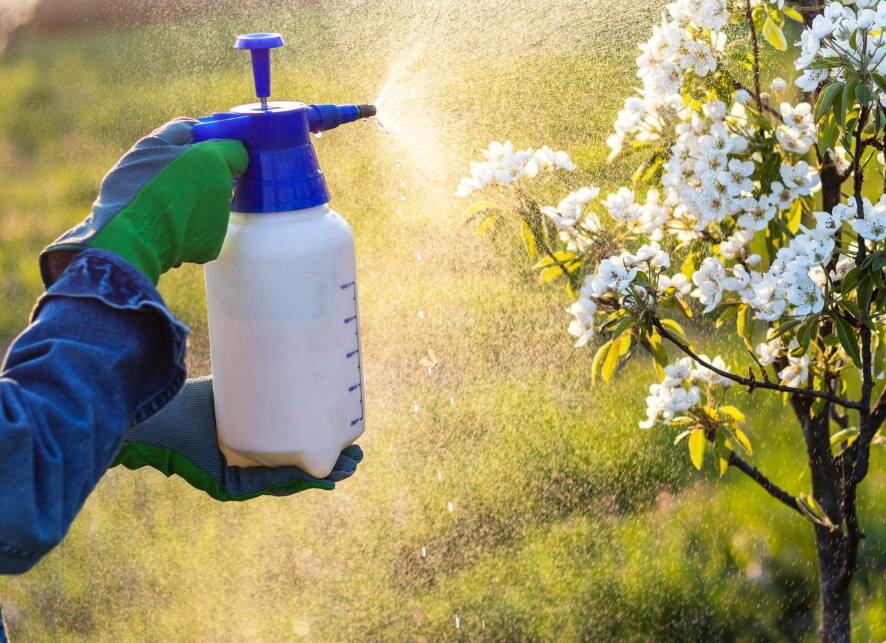 Определен перечень общедоступной информации о применении пестицидов и агрохимикатов