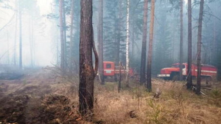 За прошедшие сутки в Красноярском крае ликвидировали 20 лесных пожаров