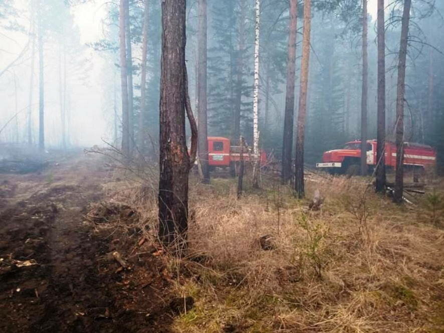 За прошедшие сутки в Красноярском крае ликвидировали 7 лесных пожаров и остановили распространение 17 пожаров