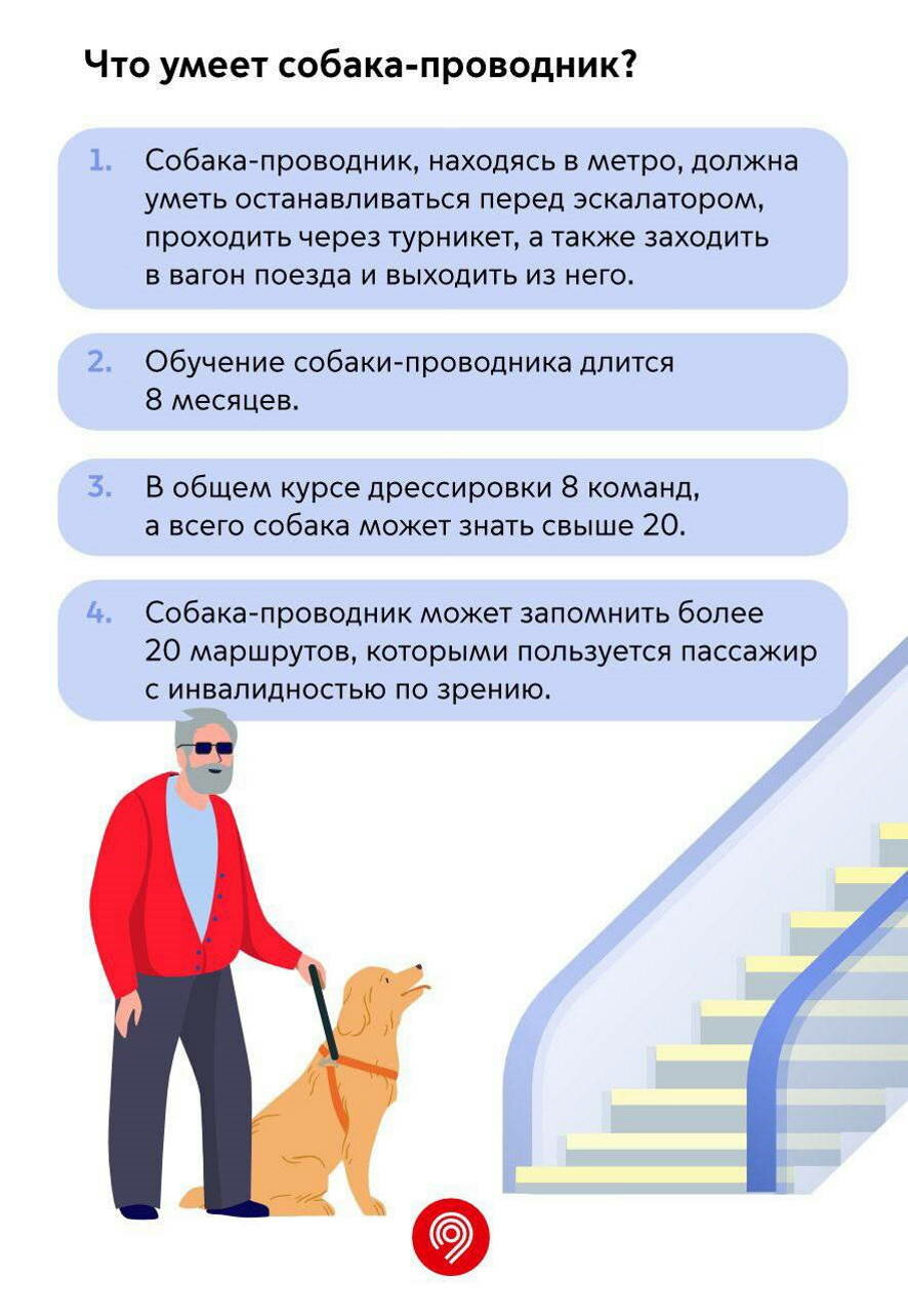 В московском метро появились собаки-проводники