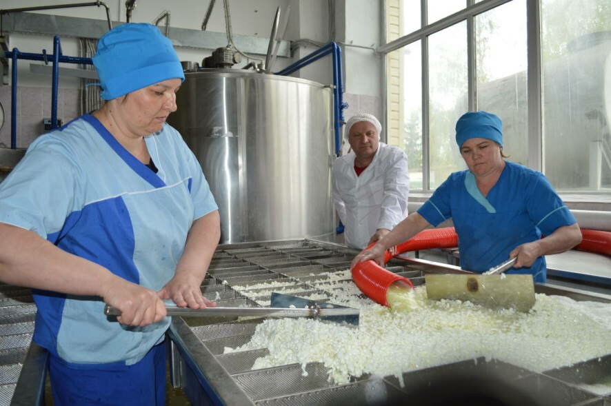 Радий Хабиров: Итальянские сыры в России теперь будут делать из молока башкирских бурёнушек