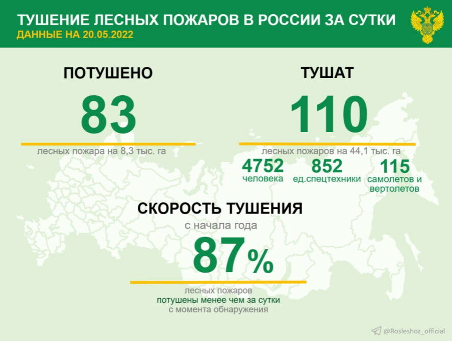 За прошедшие сутки в 22 регионах России потушили 83 лесных пожара