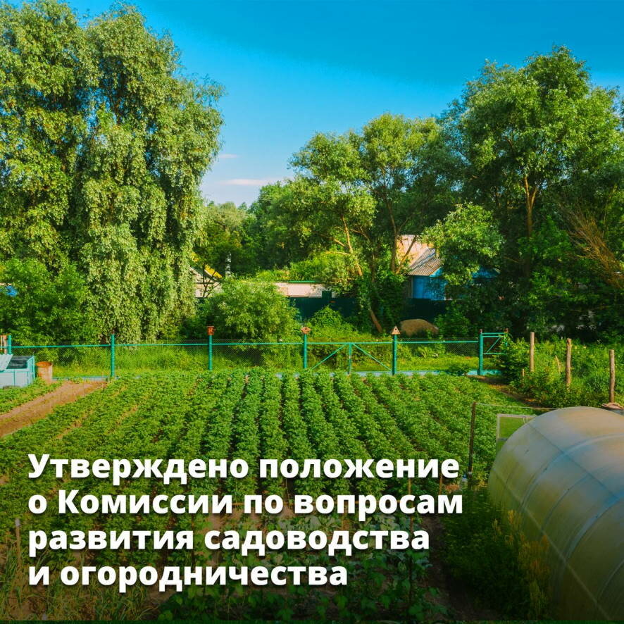 Утверждено положение о комиссии по вопросам развития садоводства и огородничества