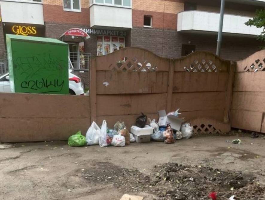 Проблемам с крысами и мусором в Петербурге не нашлось места в заявлении Беглова на ПМЭФ-2022