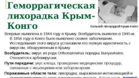 Новый штамм конго-крымской геморрагической лихорадки обнаружен в России