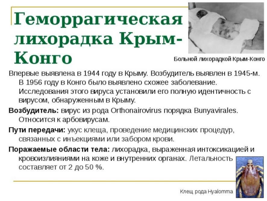 Новый штамм конго-крымской геморрагической лихорадки обнаружен в России