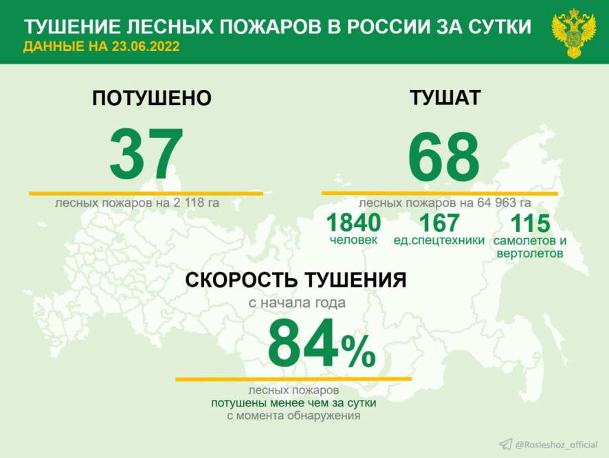 За прошедшие сутки в 14 регионах России потушили 37 лесных пожаров