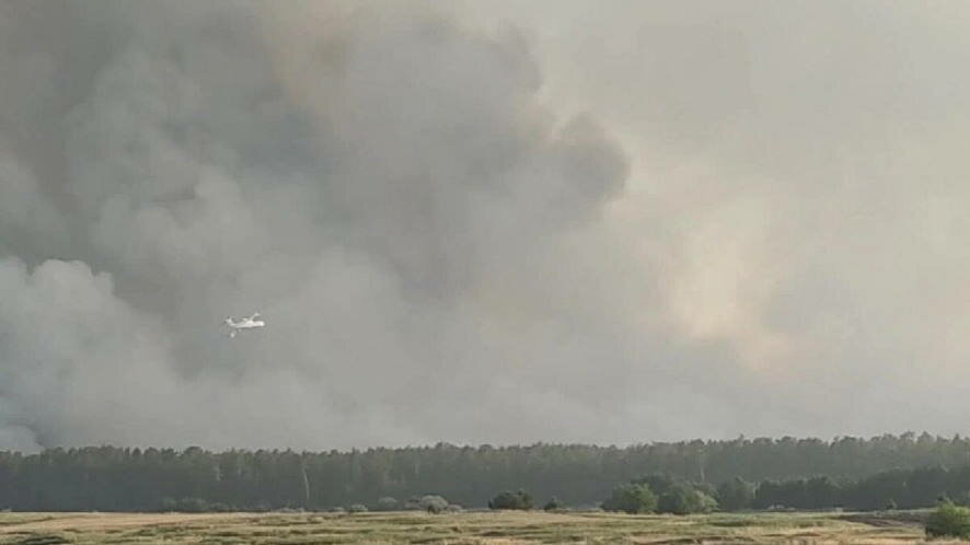 Продолжается работа по ликвидации лесного пожара в Алтайском крае, применяется авиация МЧС России