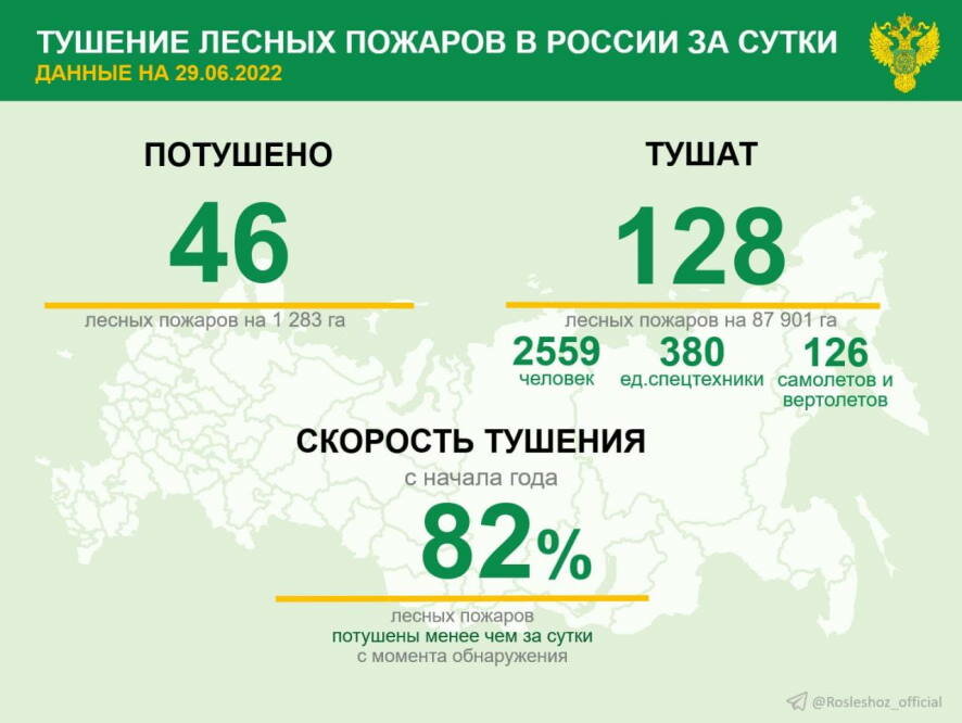 За прошедшие сутки в 18 регионах России потушили 46 лесных пожаров