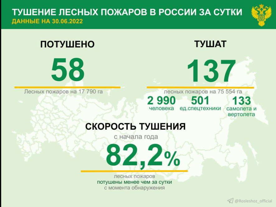 За прошедшие сутки в 19 регионах России потушили 58 лесных пожаров