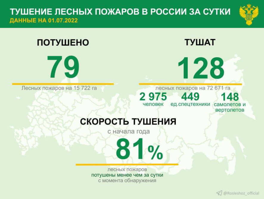 За прошедшие сутки в 23 регионах России потушили 79 лесных пожаров