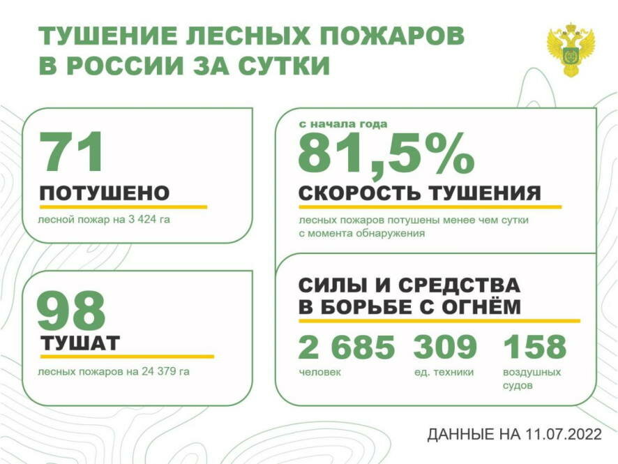 За прошедшие сутки в 25 регионах России потушили 71 лесной пожар