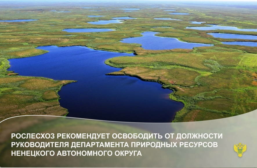Рослесхоз рекомендует освободить от должности руководителя департамента природных ресурсов Ненецкого автономного округа