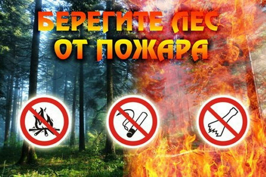 Пребывание граждан в лесах Саратовской области ограничено