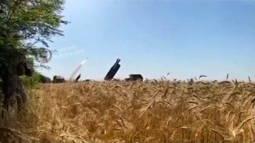 Киевский режим уничтожает новый урожай зерна