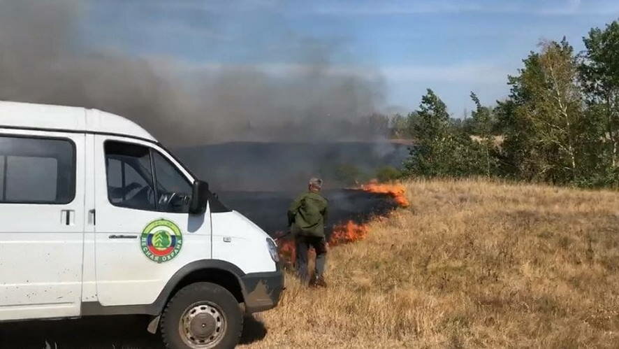 По вине неизвестных загорелся лес в Саратовской области