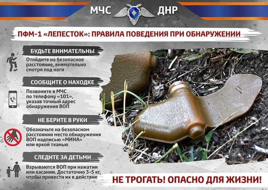 Некоторые населенные пункты Донецкой Народной Республики перенасыщены взрывоопасными предметами