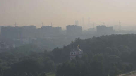 Ветер продолжит нести запах гари в Москву из Рязанской области