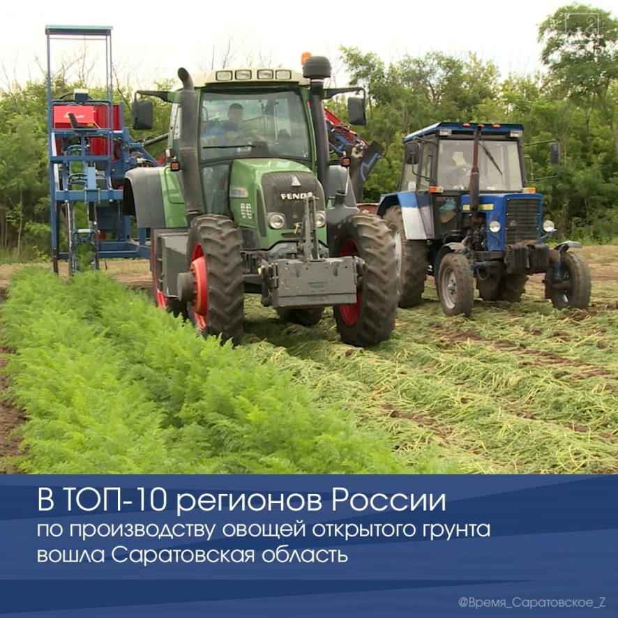 Саратовская область вошла в топ-10 регионов РФ по производству овощей открытого грунта