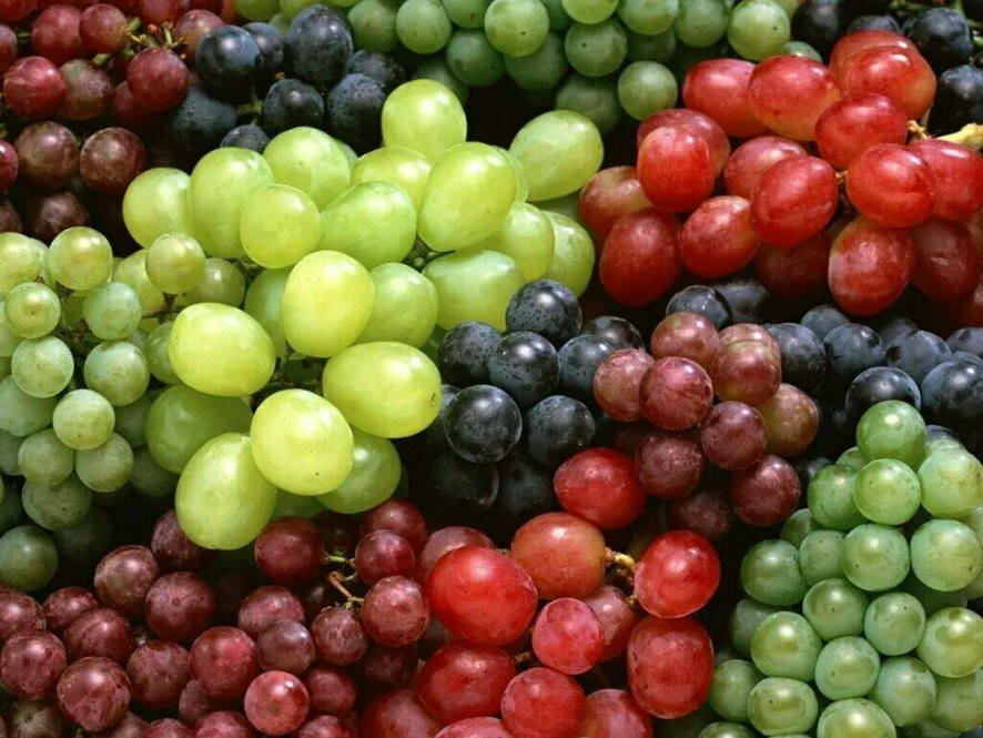 Пять грубых ошибок при обрезке винограда