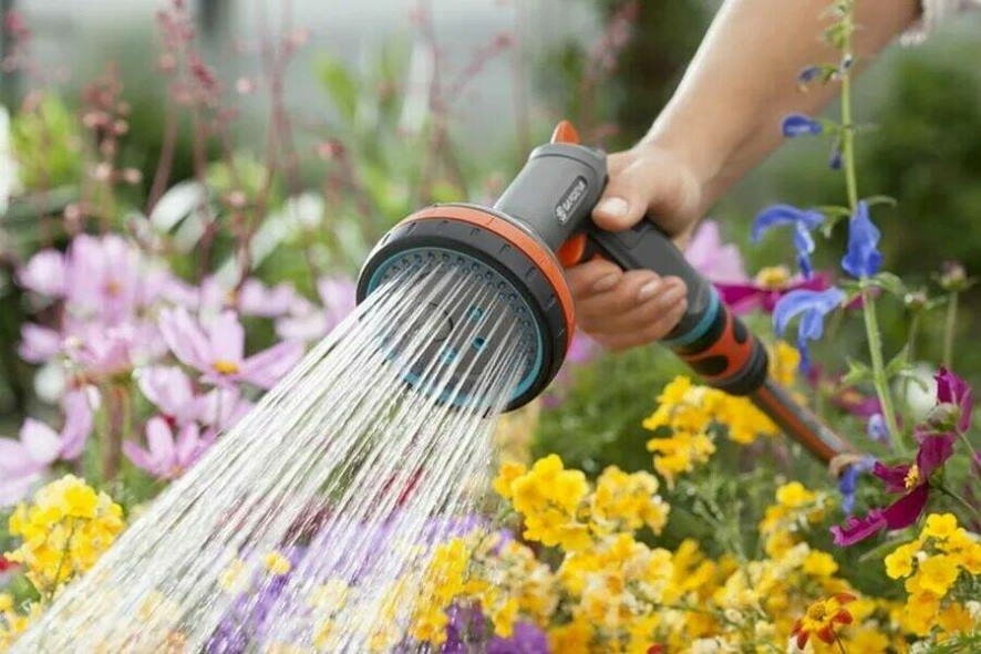 Как правильно поливать сад