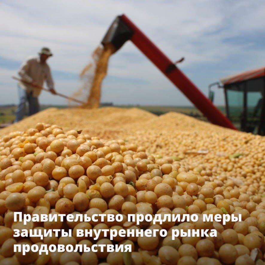 Правительство продлило меры защиты внутреннего рынка продовольствия