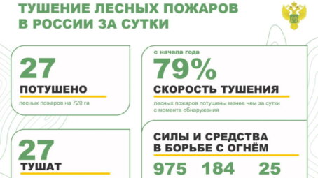 За прошедшие сутки в 12 регионах России потушили 27 лесных пожаров