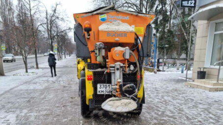 Общественники поддерживают решение губернатора по обработке дорог реагентами вместо песка