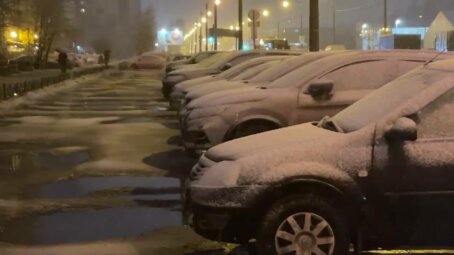 В Москве выпала треть месячной нормы осадков