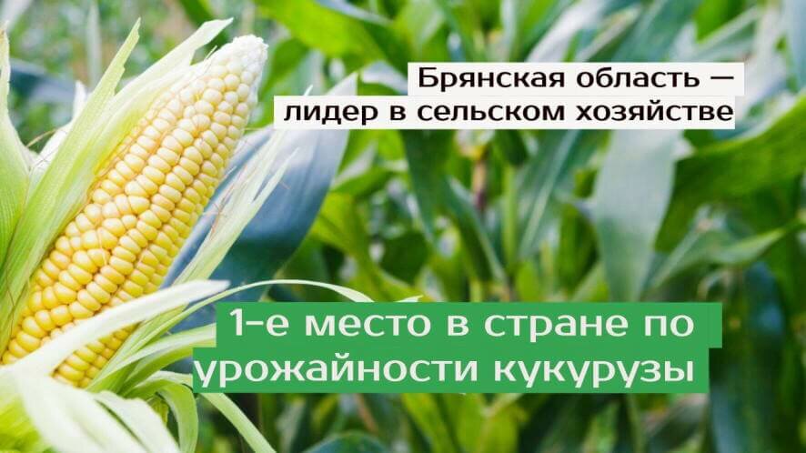 В Брянской области подвели итоги сельскохозяйственного года
